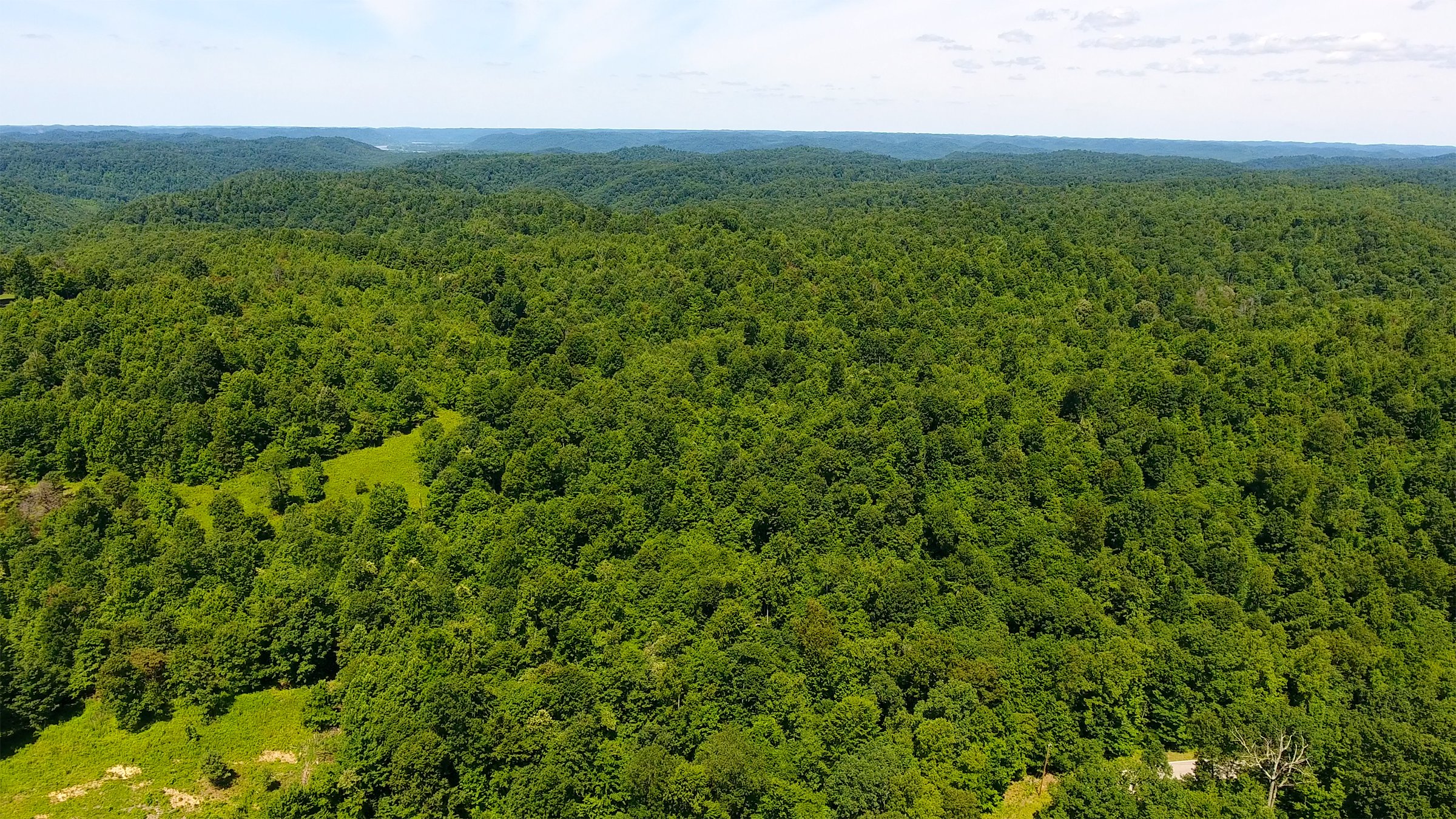 Property photo 20 - LAND AUCTION - 1,682+/- ACRES OFFERED IN 17 TRACTS IN LEWIS & GREENUP COUNTIES, KENTUCKY